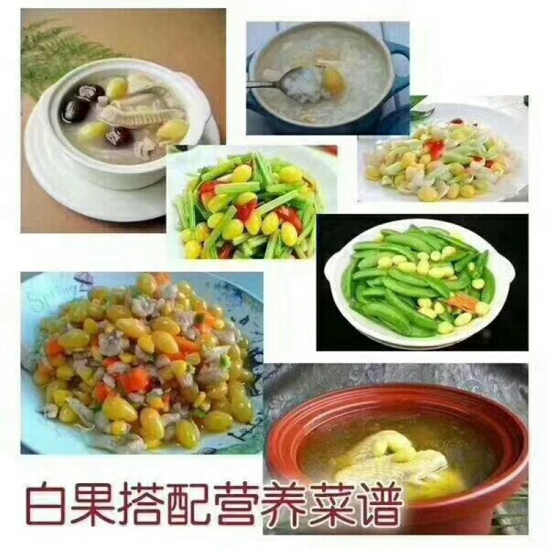 银杏果白果