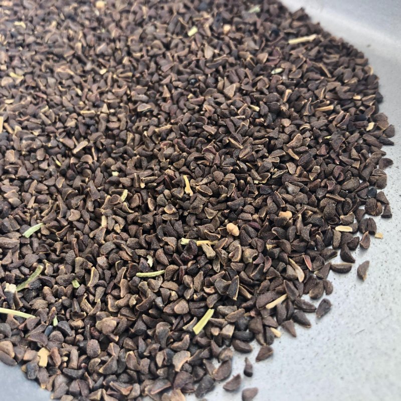 骆驼篷子批发零售中药材