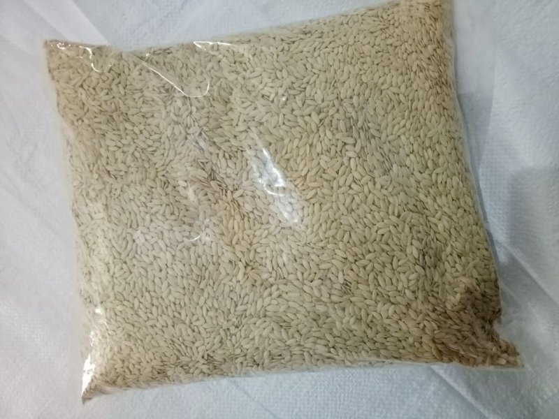 黄瓜子黄瓜子粉可定制批发零售中药材品质保证