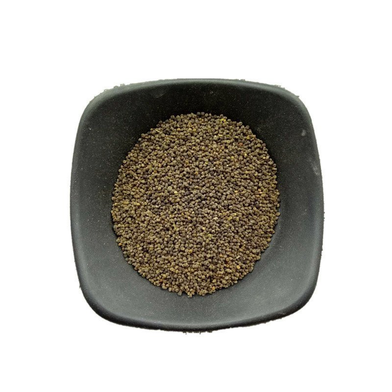 白花菜籽臭花菜籽可打粉批发零售中药材品质保证