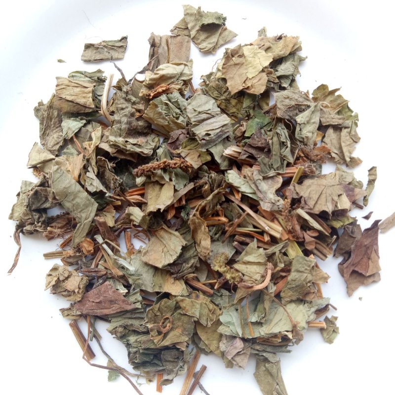 鱼腥草鱼腥草叶可打粉批发零售中药材品质保证