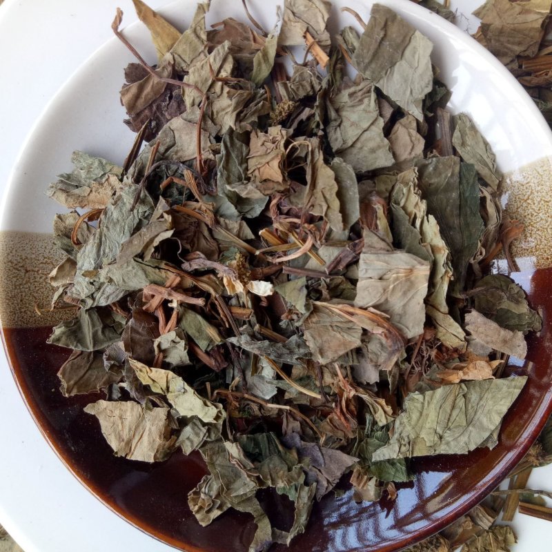 鱼腥草鱼腥草叶可打粉批发零售中药材品质保证