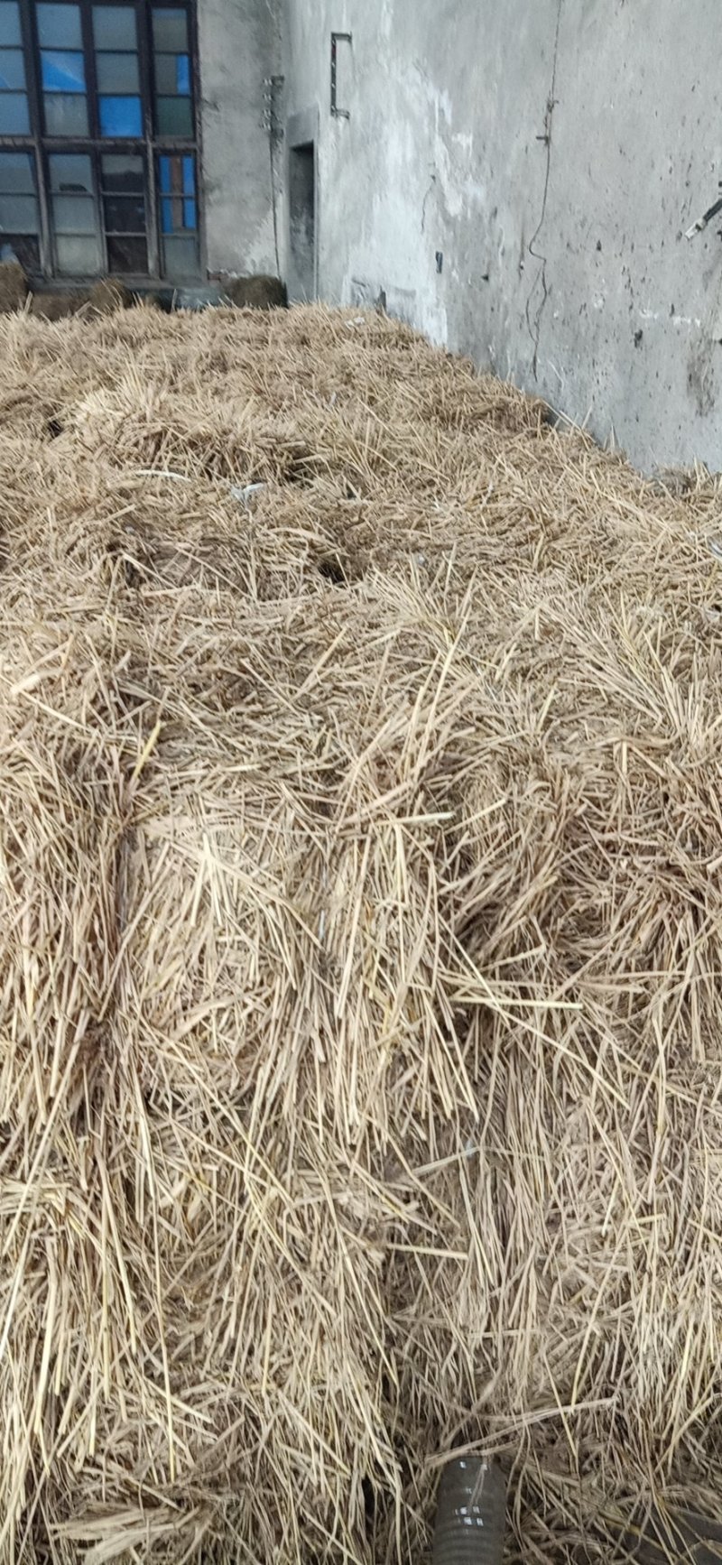 稻草供应