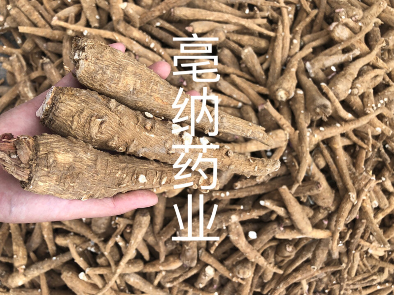 白芷个白芷片安徽白芷个产地直销1公斤起批量大从优