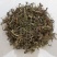 仙桃草仙桃草中药材蟠桃草蚊母草接骨仙桃草八卦仙