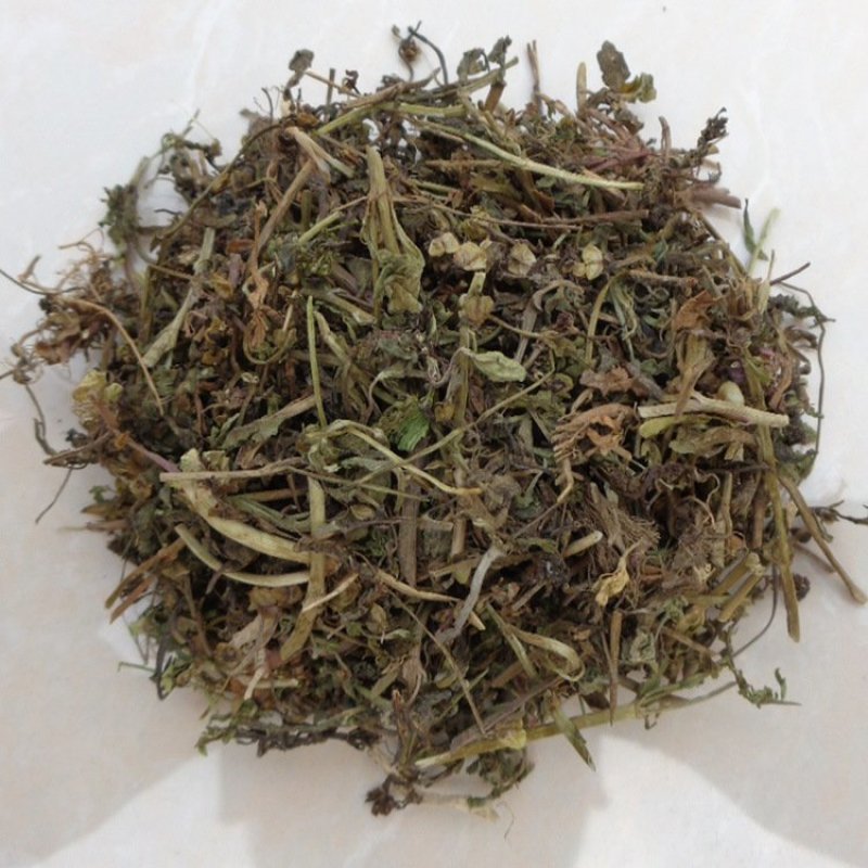 仙桃草仙桃草中药材蟠桃草蚊母草接骨仙桃草八卦仙