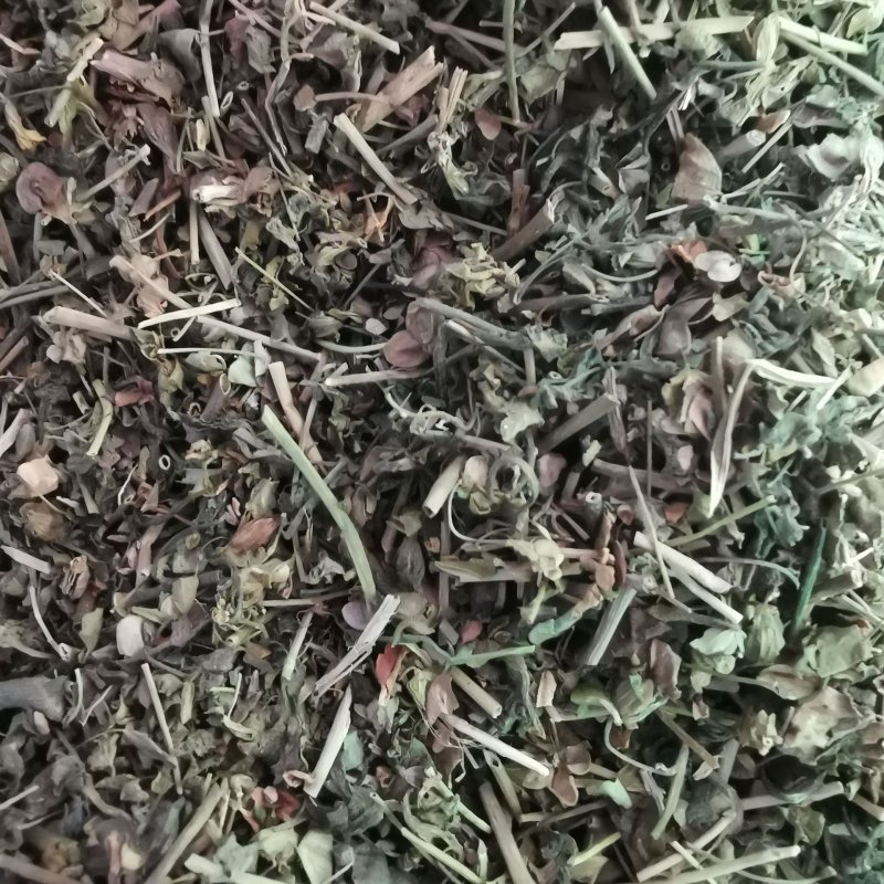 仙桃草仙桃草中药材蟠桃草蚊母草接骨仙桃草八卦仙