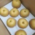 秋月梨，精品果，馆陶众康果品市场大量供应各种梨