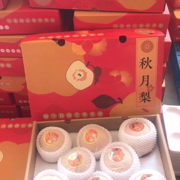 秋月梨，精品果，馆陶众康果品市场大量供应各种梨
