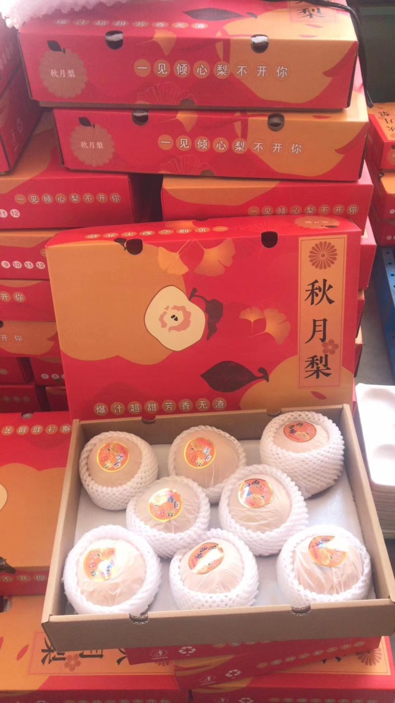 秋月梨，精品果，馆陶众康果品市场大量供应各种梨