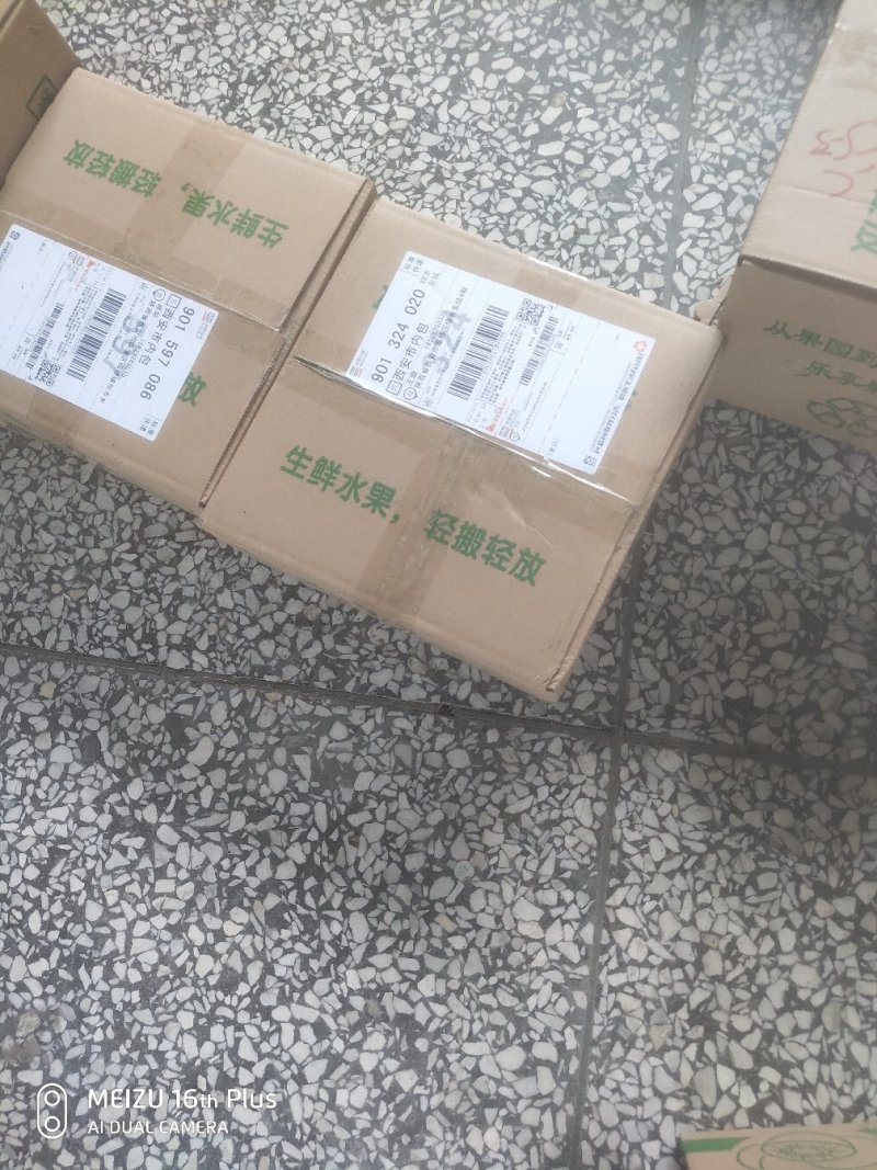 【优质】翠香猕猴桃对接全国、大型商超、批发商、欢迎咨询