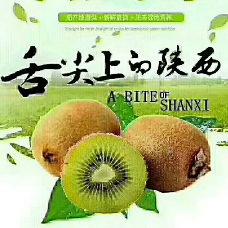 陕西眉县猕猴桃