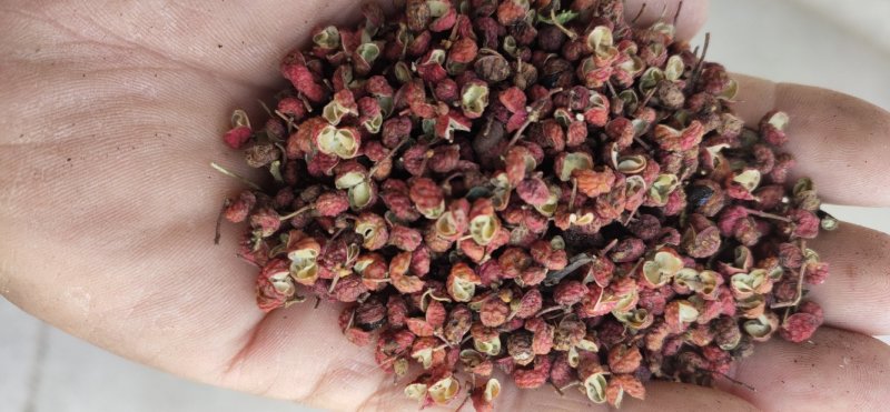 【包邮】大红袍花椒梅花椒一件代发味道嘛色泽好颗粒大