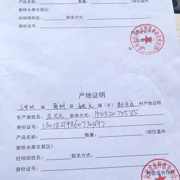 雪花梨，【】梨，新品雪花梨，产地直发，保证质量