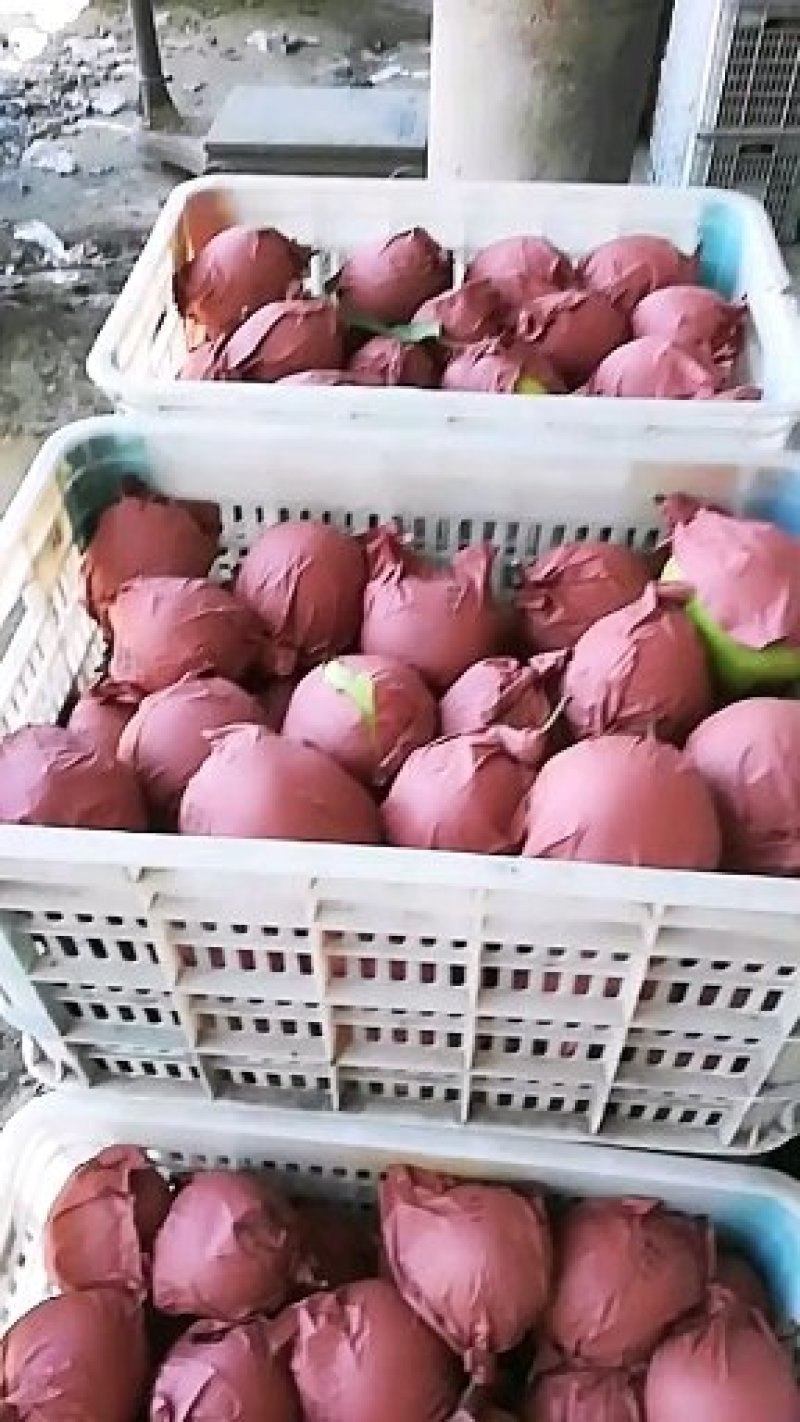 梨