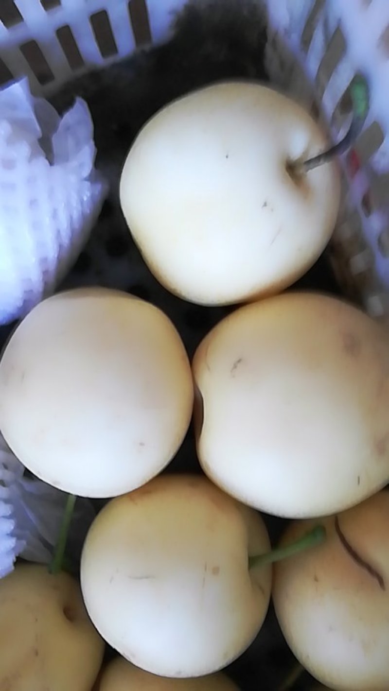 梨