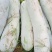 【推荐】冬瓜,精品白皮冬瓜,保质保量,诚信经营,可发全国