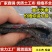 土工布毛毡公路养护大棚保温装修防水加厚工程布棉白色无防布