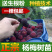 杨梅苗杨梅树苗东魁杨梅苗六月杨梅果树苗