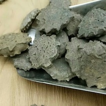 木鳖子产地直供可搭配多品种采购大货联系客服