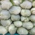 《精选》扁包菜开封产地精品甘蓝大上市了，全国代发