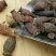 金樱子产地直供可搭配多品种采购大货联系客服