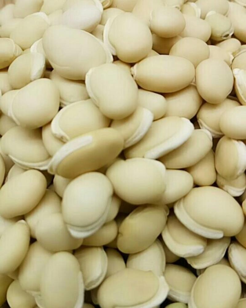 扁豆产地直供可搭配多品种采购大货联系客服