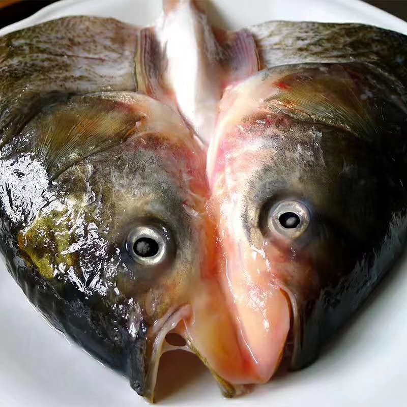 鱼头