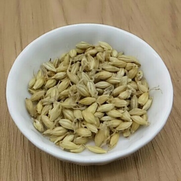 麦芽产地直供支持线上交易可搭配多品种采购大货联系客服