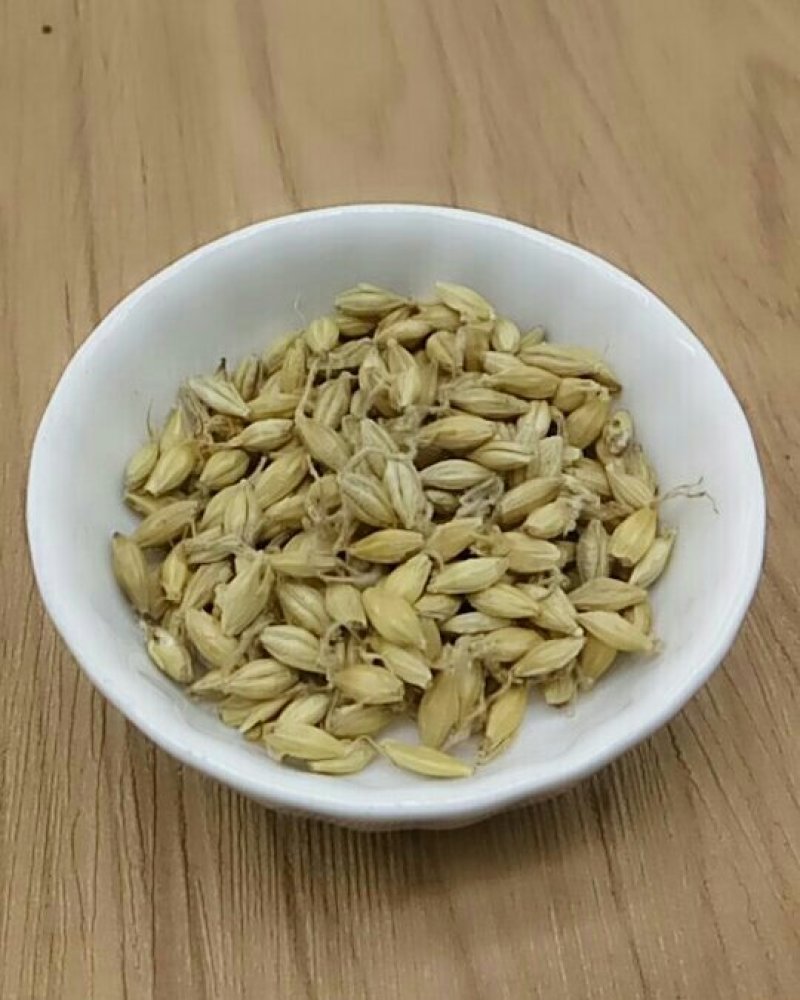 麦芽产地直供支持线上交易可搭配多品种采购大货联系客服