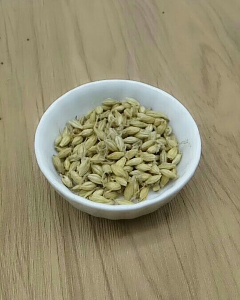 麦芽产地直供支持线上交易可搭配多品种采购大货联系客服
