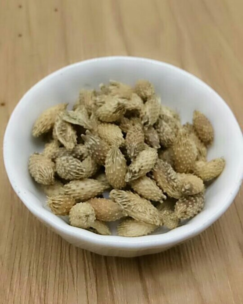 苍耳子产地直供支持线上交易各种规格接受订单