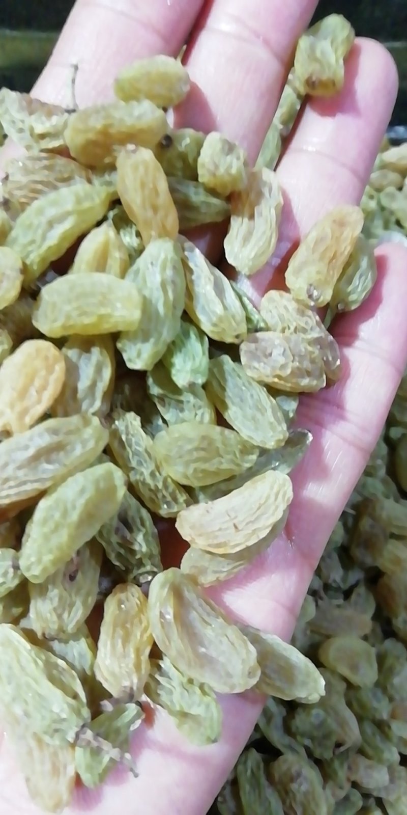 新疆吐鲁番葡萄干，一级绿宝石，3斤起发货，量多优惠多