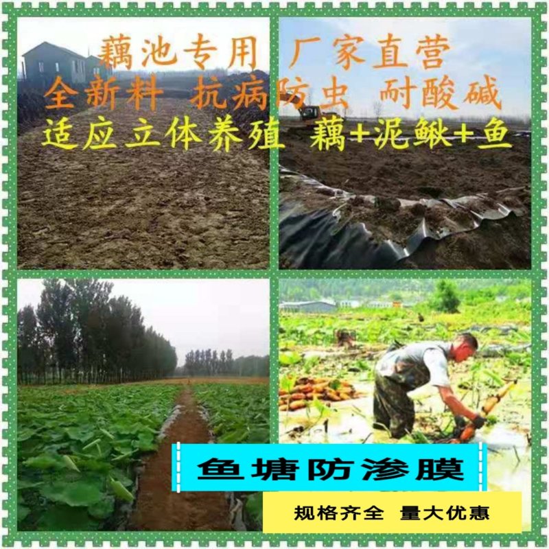 加厚防渗膜HDPE土工膜鱼塘膜藕池蓄水池沼气池垃圾填埋厂