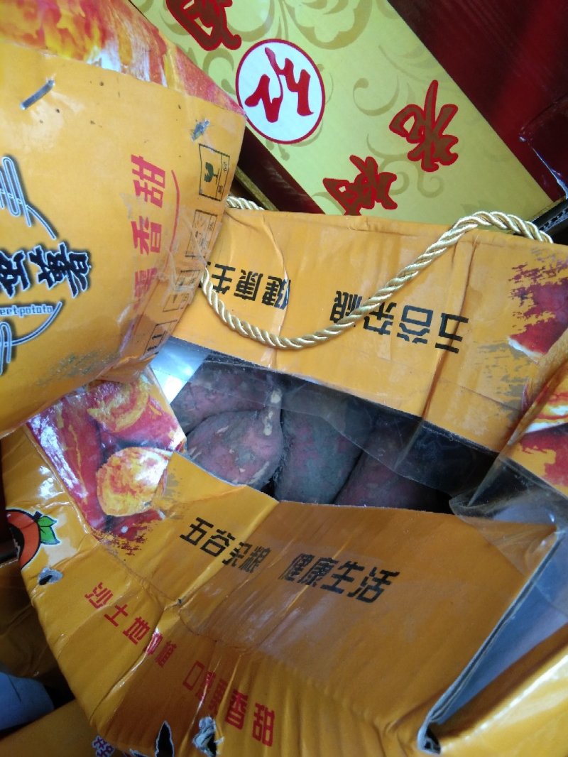 六鳌密薯