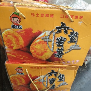 六鳌密薯