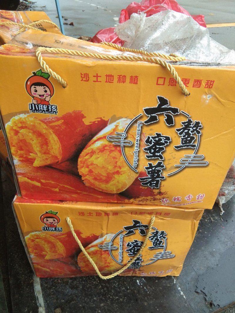 六鳌密薯