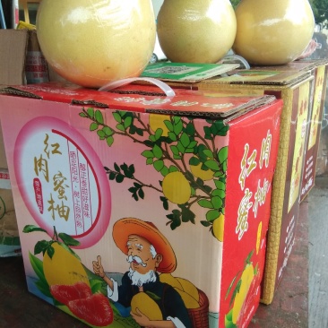 红肉蜜柚