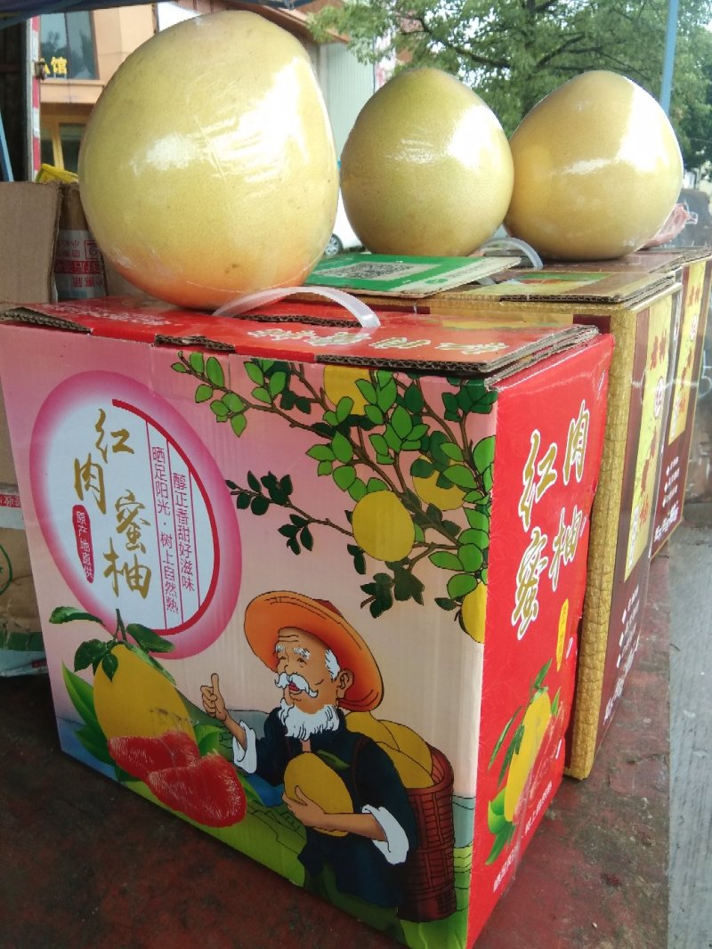 红肉蜜柚