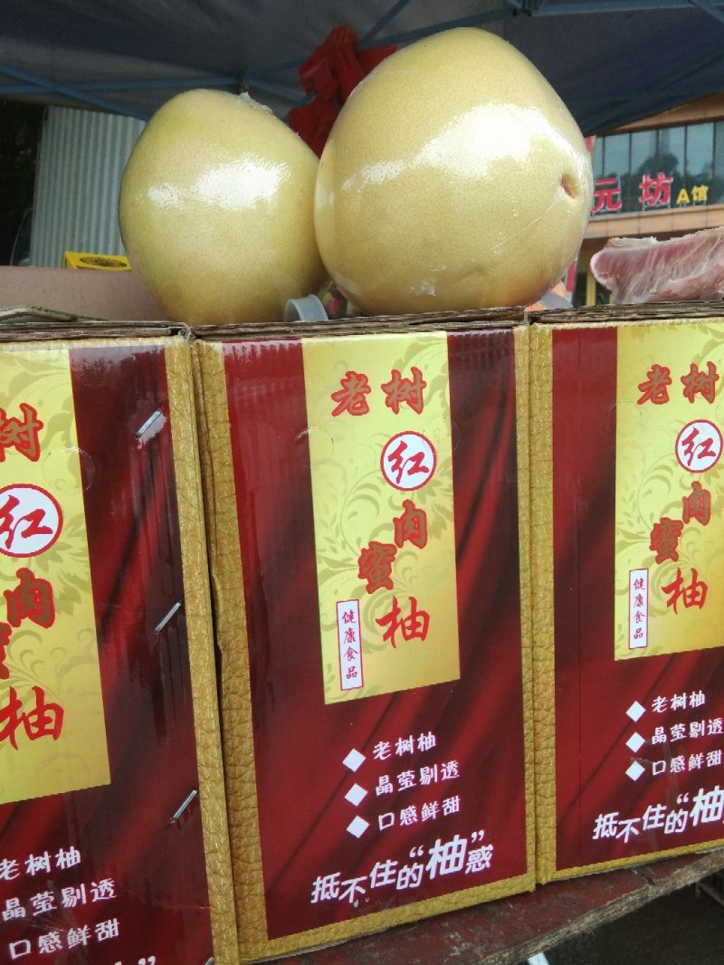 红肉蜜柚
