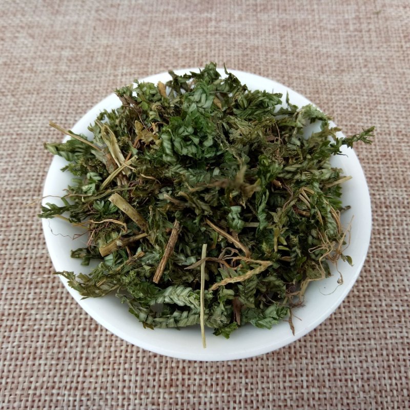 石上柏地柏枝打卷草中药批发专业品质保证