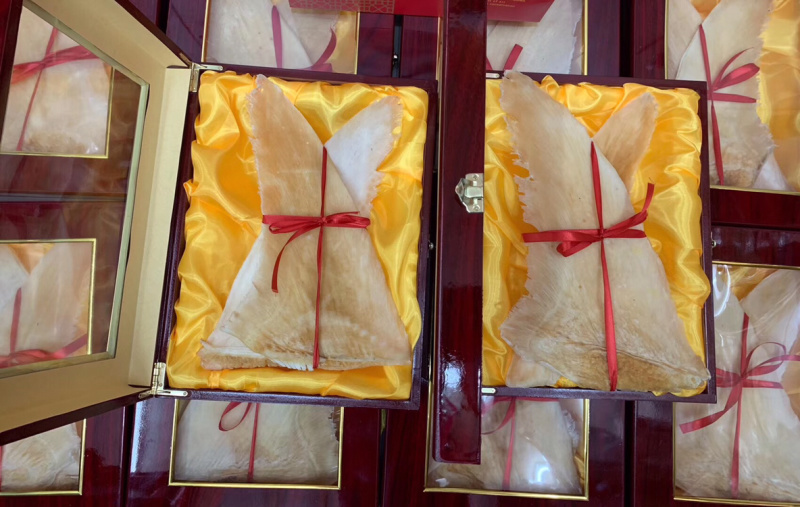 鱼翅大翅礼盒带礼盒一套净重250克
