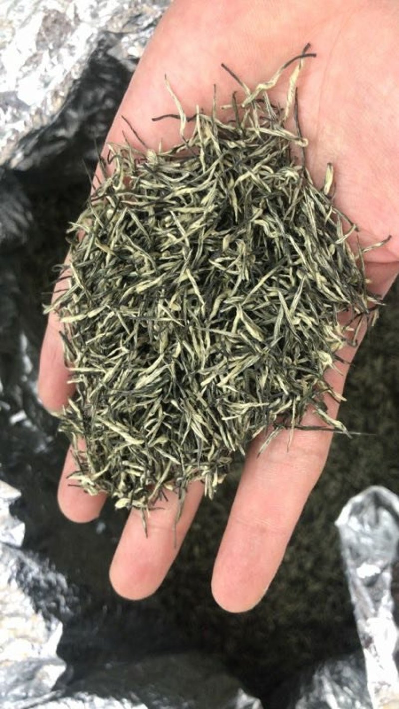 新茶头采毛尖浓香耐泡香味醇500克净重，回头客高