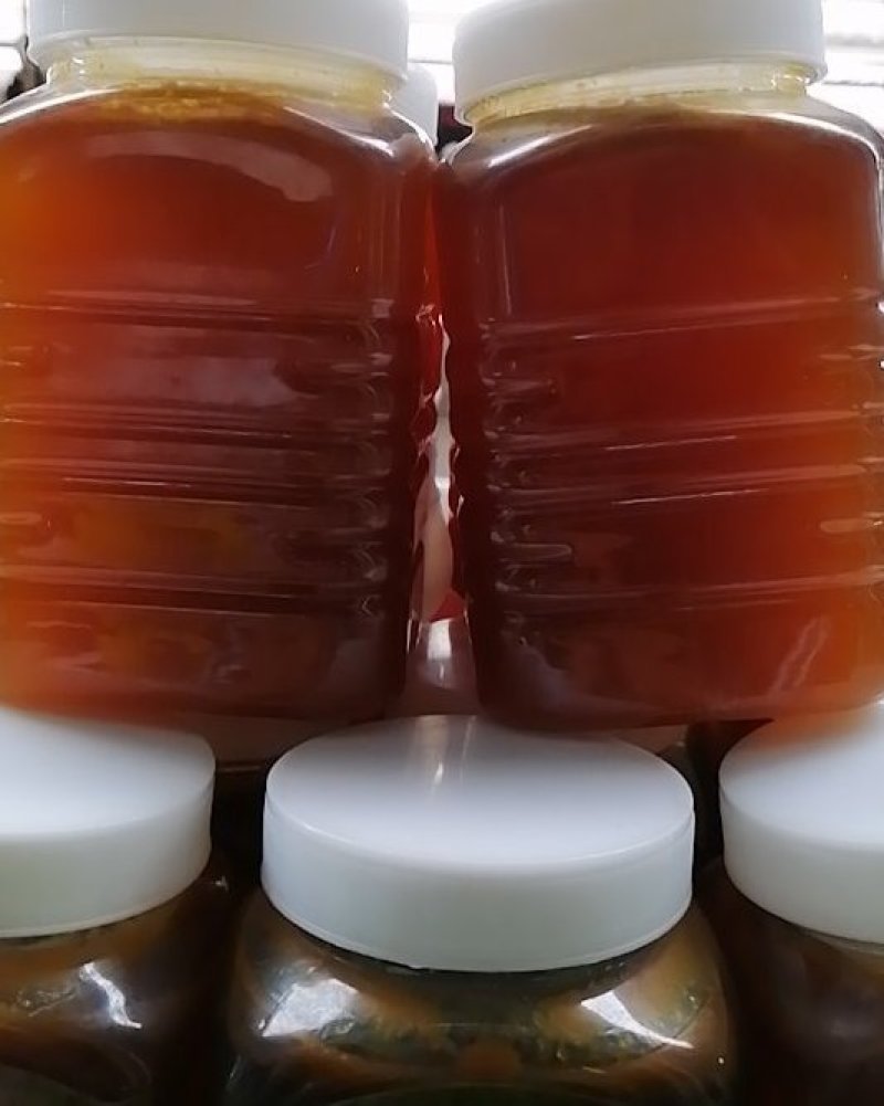 正宗农村土蜂蜜，百分百纯正并非加工蜂蜜，来自于新平哀牢山