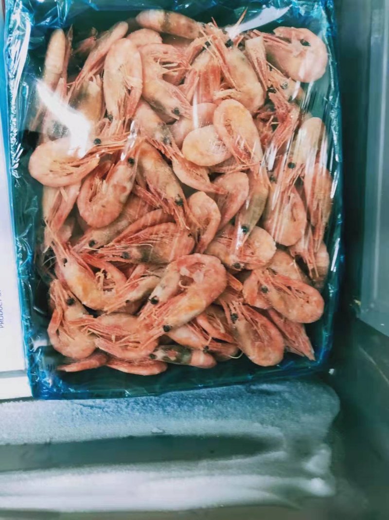 北极甜虾