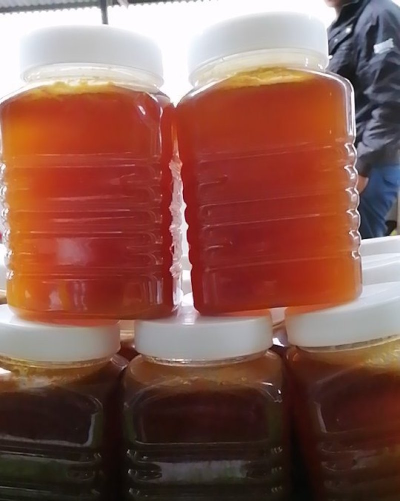 正宗农村土蜂蜜，百分百纯正并非加工蜂蜜，来自于新平哀牢山