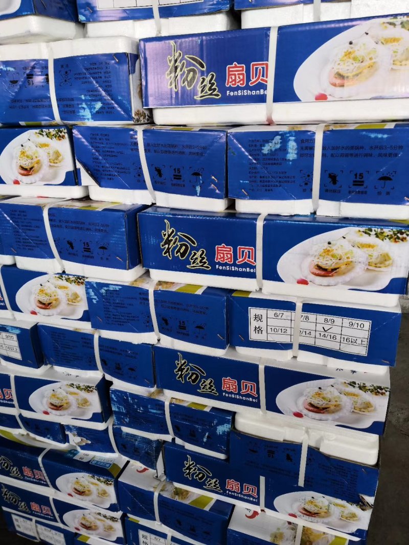 粉丝扇贝