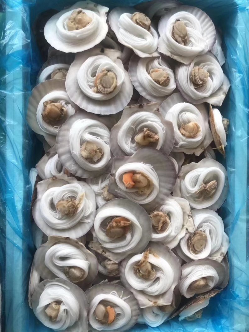 粉丝扇贝