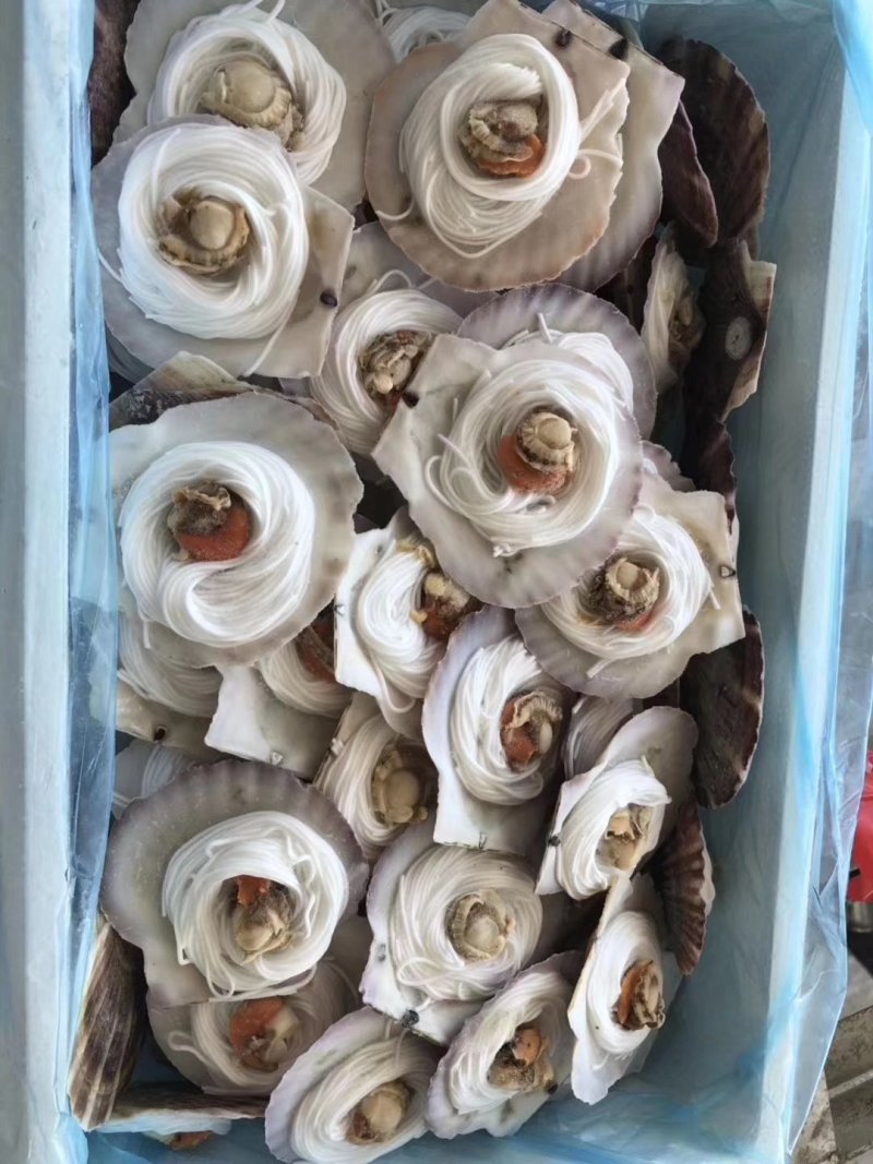 粉丝扇贝