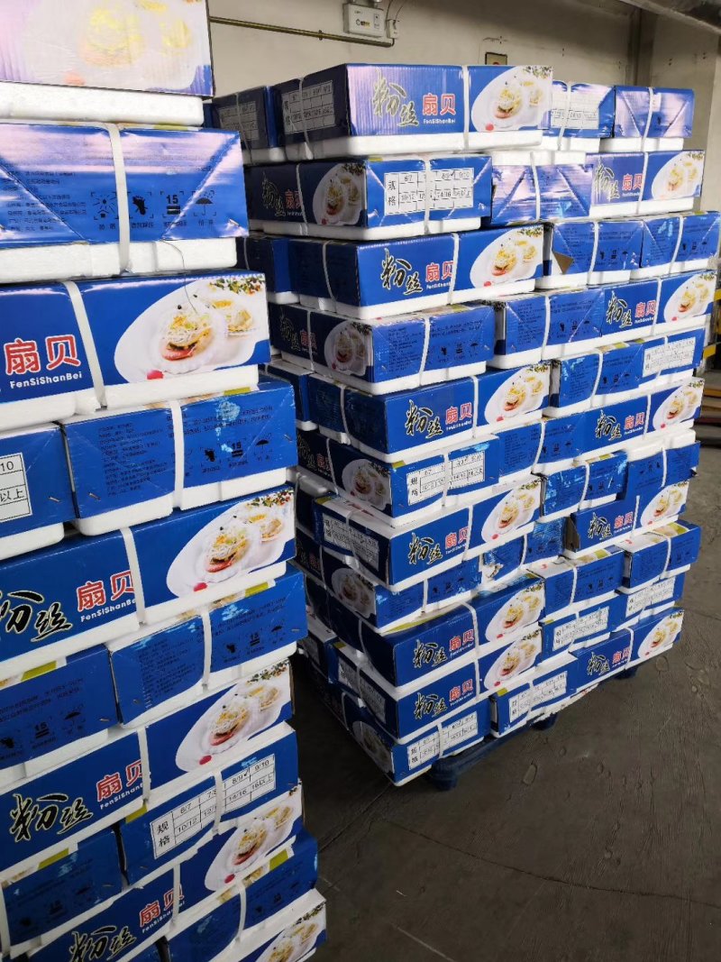 粉丝扇贝